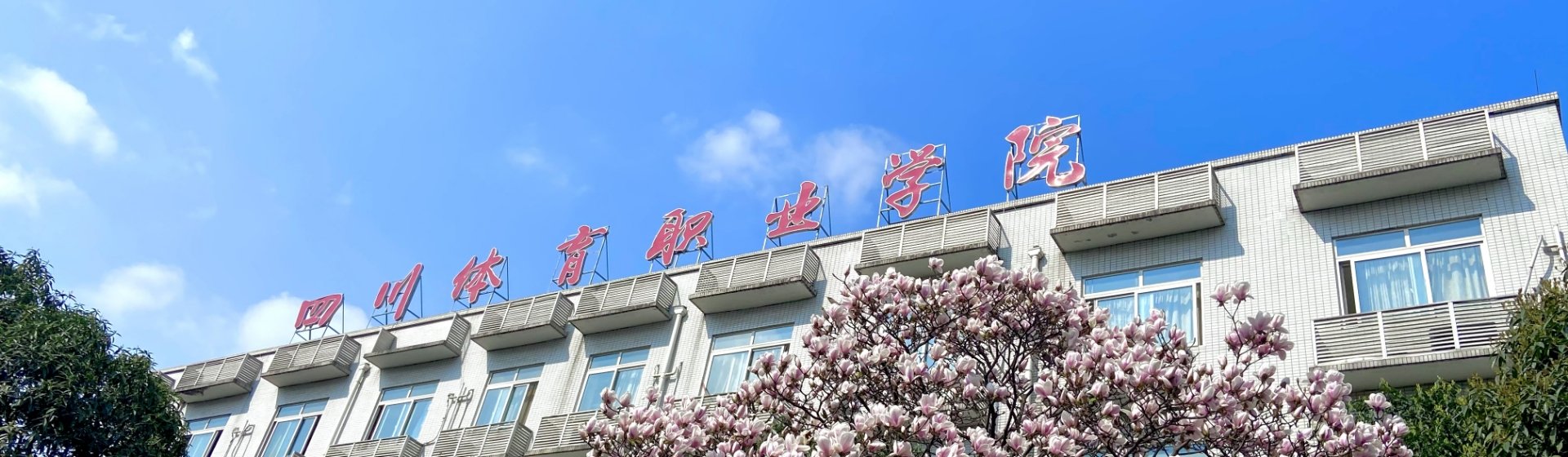 2024 Copyright © 澳